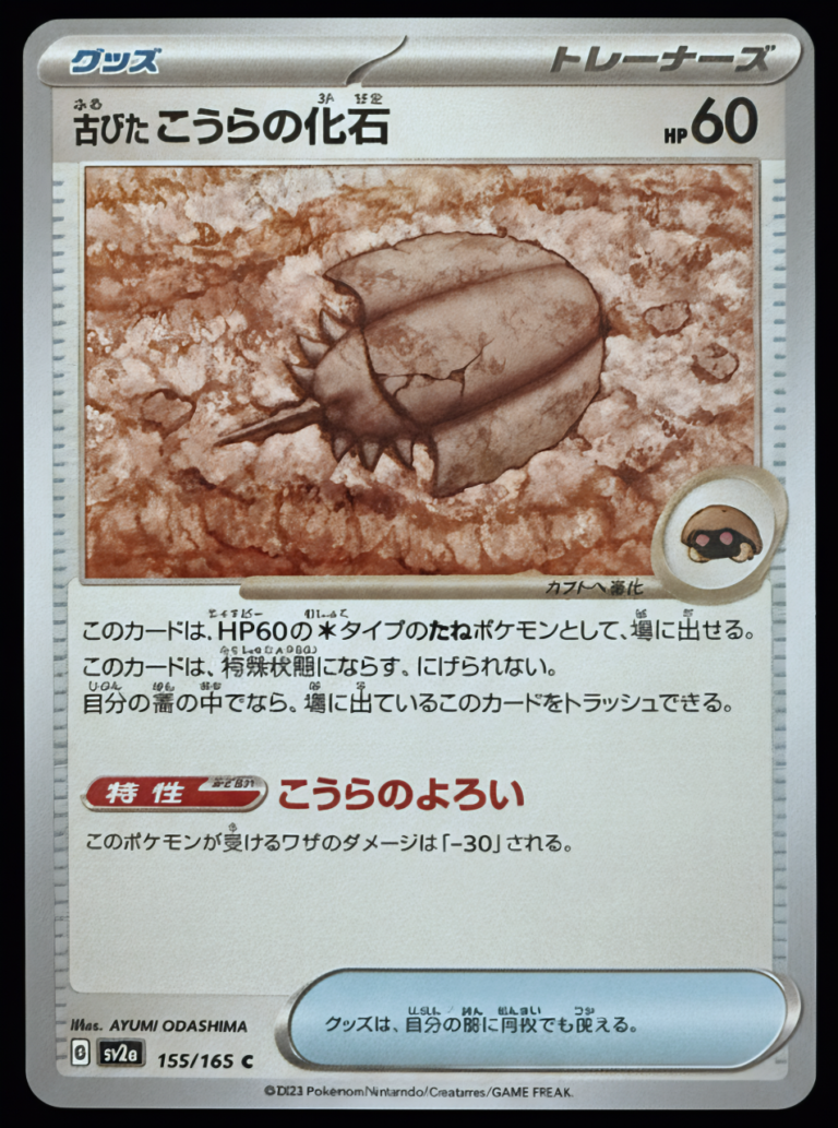 The Prehistoric Artefact: Antique Carapace Fossil